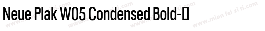 Neue Plak W05 Condensed Bold字体转换 Neue Plak W05 Condensed Bold字体转换